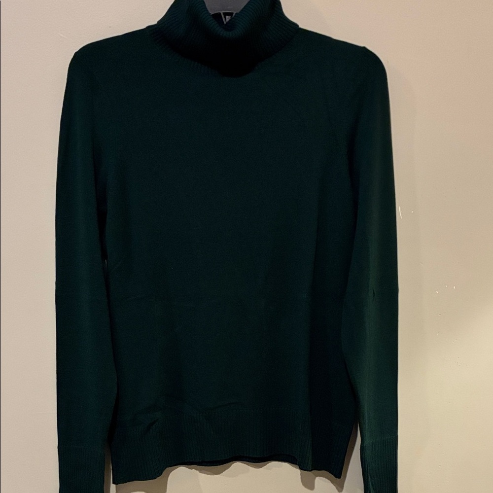 Banana Republic Dark Green Turtleneck Sweater